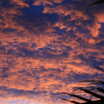 Artwork thumbnail, Spring at Sunset by Anthony Superina