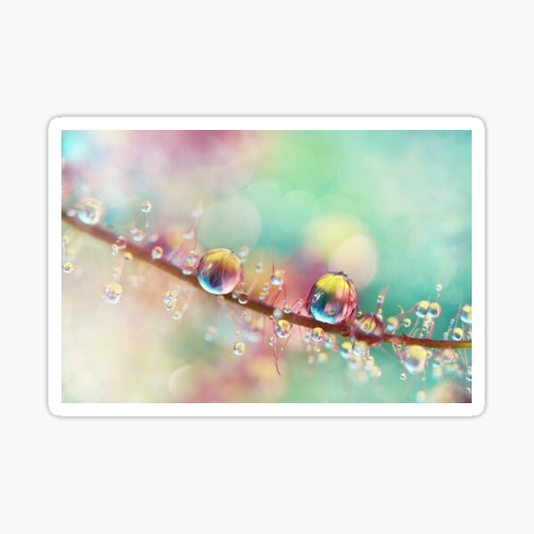 Rainbow Smoke Drops Pegatina