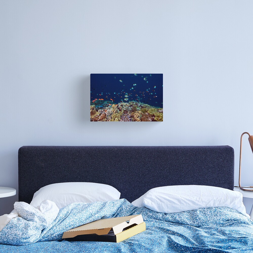 Reef edge Canvas Print
