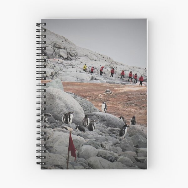 Item preview, Gentoo Penguins in Antarctia designed and sold by Bev Pascoe.