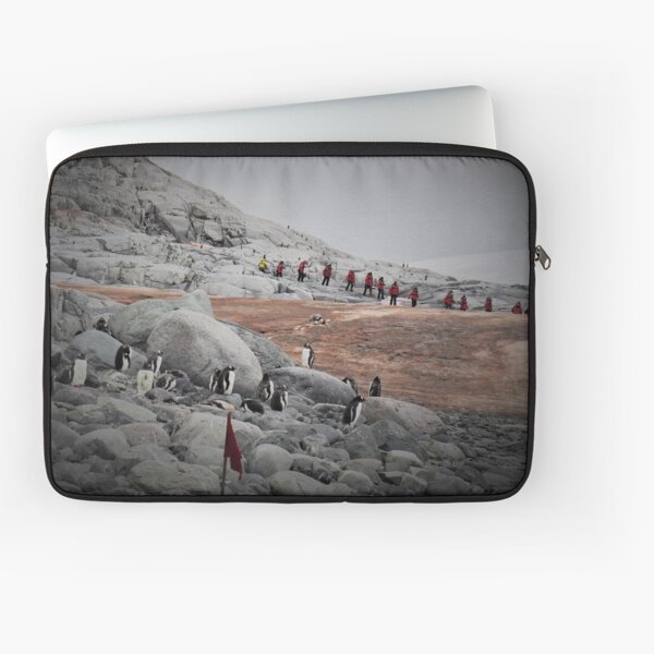 Item preview, Gentoo Penguins in Antarctia designed and sold by Bev Pascoe.