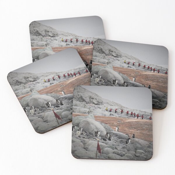 Item preview, Gentoo Penguins in Antarctia designed and sold by Bev Pascoe.