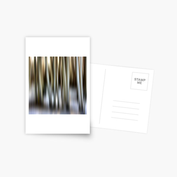Item preview, Winter Birch designed and sold by Globalphotos.