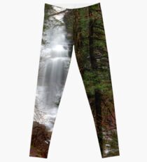 Ganoga Falls Roars in the Misty Glen Leggings