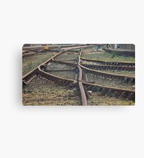 " Which way?" Canvas Print