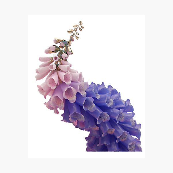 Flume - Skin Photographic Print
