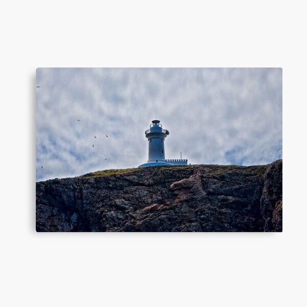 " Lighthouses are lonely figures" (Tianne Albrow 2012) Canvas Print