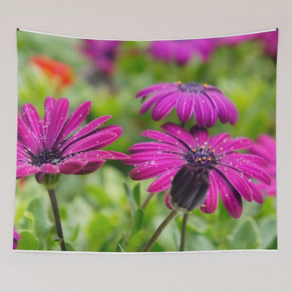 Item preview, Purple flowers in the drops of morning dew designed and sold by Fluffy-Des.
