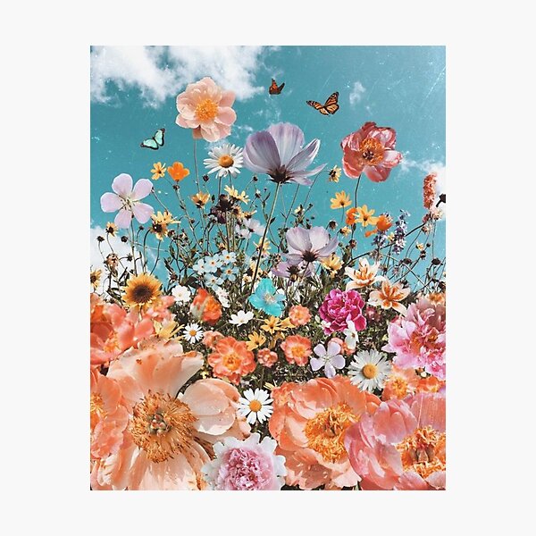 colorful flowers and butterflies Photographic Print
