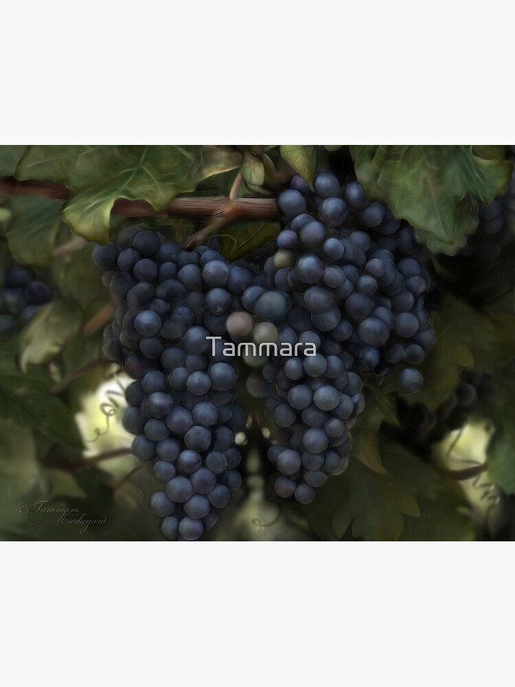 The Harvest by Tammara