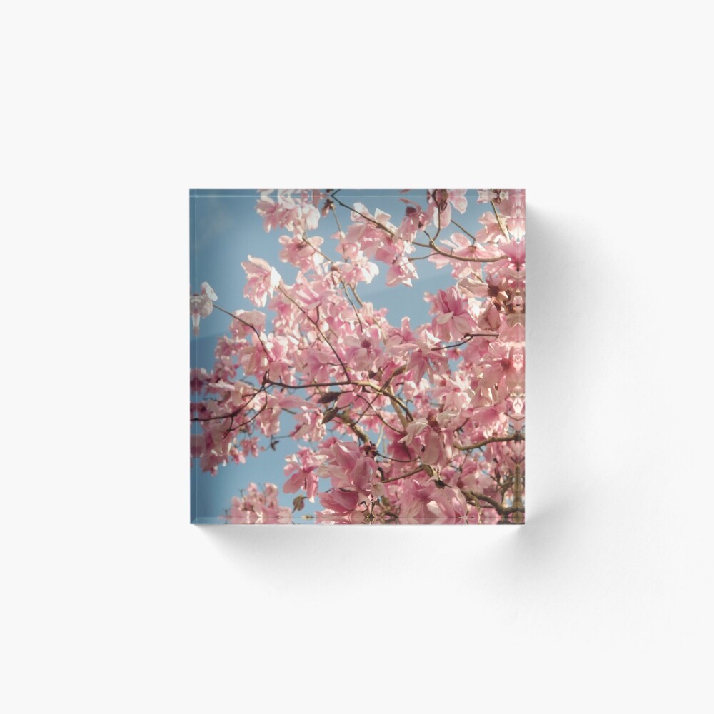 Item preview, Acrylic Block designed and sold by Virtualrich.