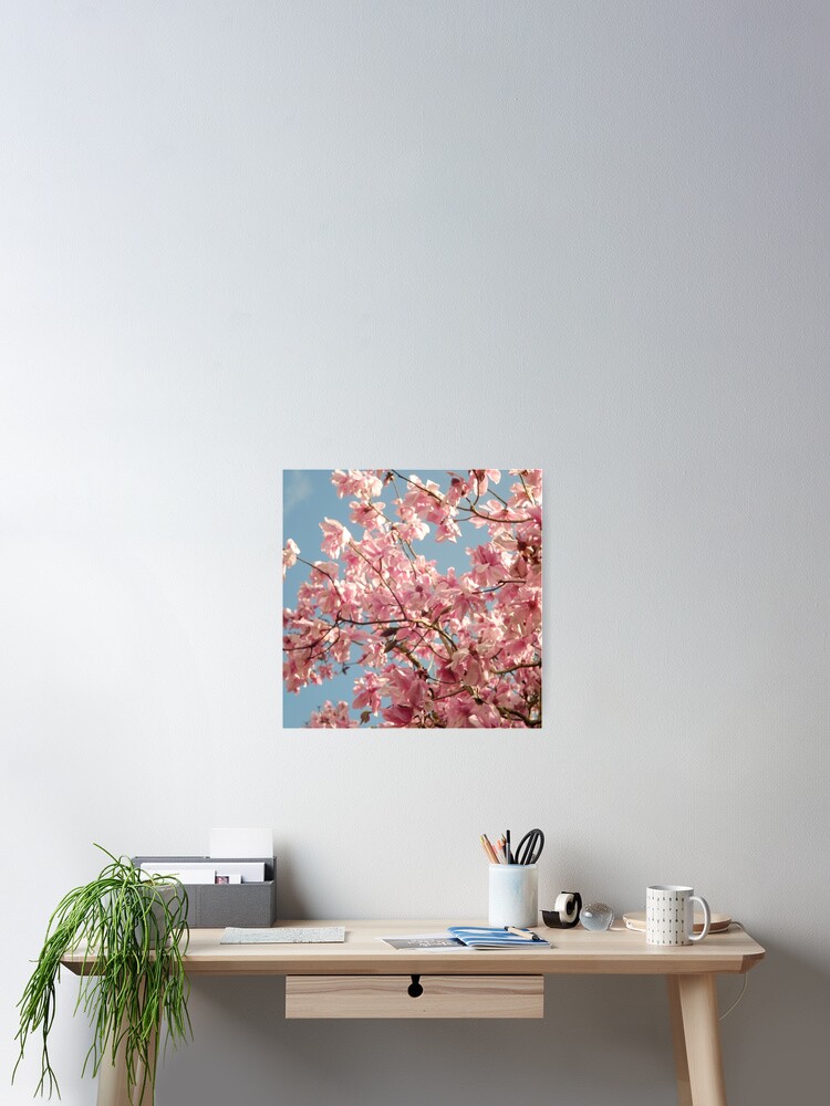Thumbnail 2 of 3, Poster,  “ Magnolia Spring “  designed and sold by Virtualrich.