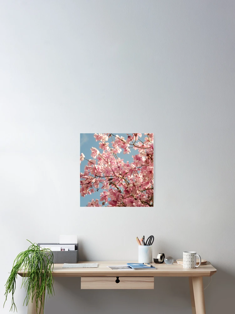 Thumbnail 2 of 3, Poster, “ Magnolia Spring “ designed and sold by Richard Couchman.