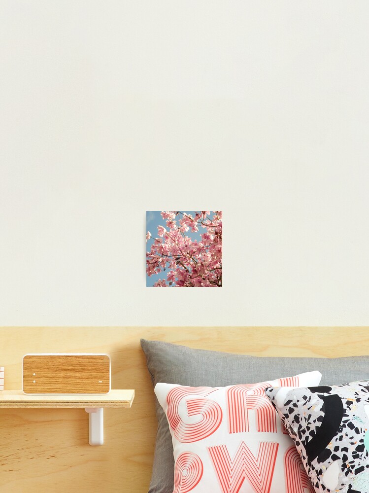 Thumbnail 2 of 3, Photographic Print,  “ Magnolia Spring “  designed and sold by Virtualrich.