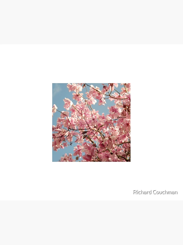 Thumbnail 3 of 3, Tapestry,  “ Magnolia Spring “  designed and sold by Richard Couchman.