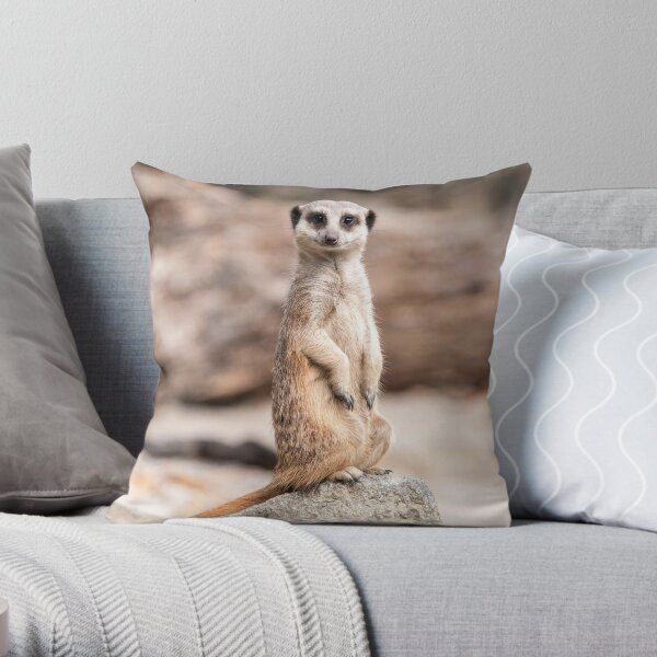 Meerkat Photography Throw Pillow