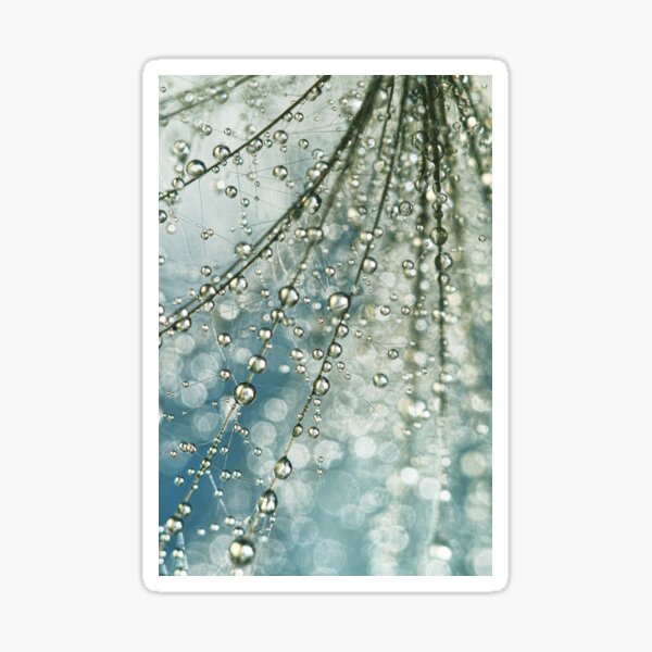 Lluvia de hadas Pegatina