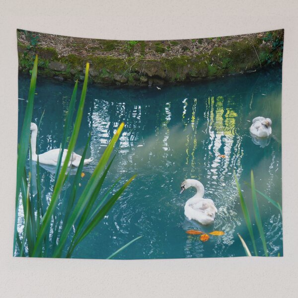 Item preview, Beautiful swans in the lake designed and sold by Fluffy-Des.