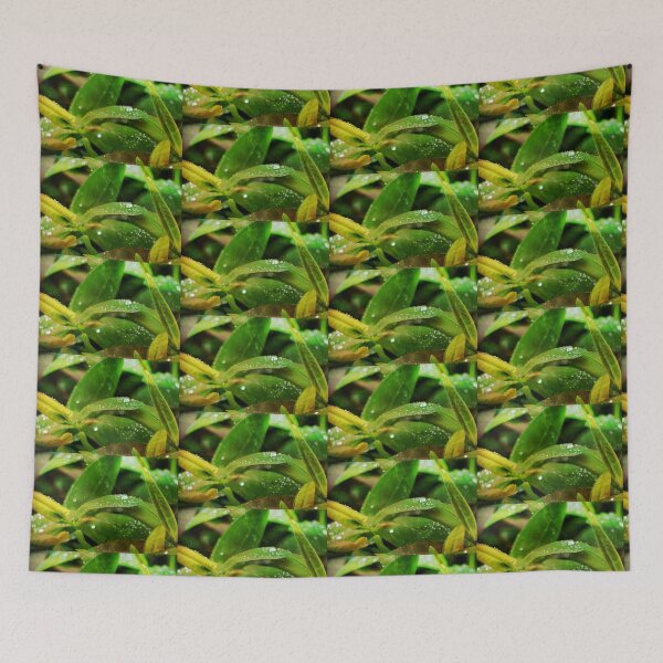 Item preview, rain drops on leaves designed and sold by Ms-Bexy.