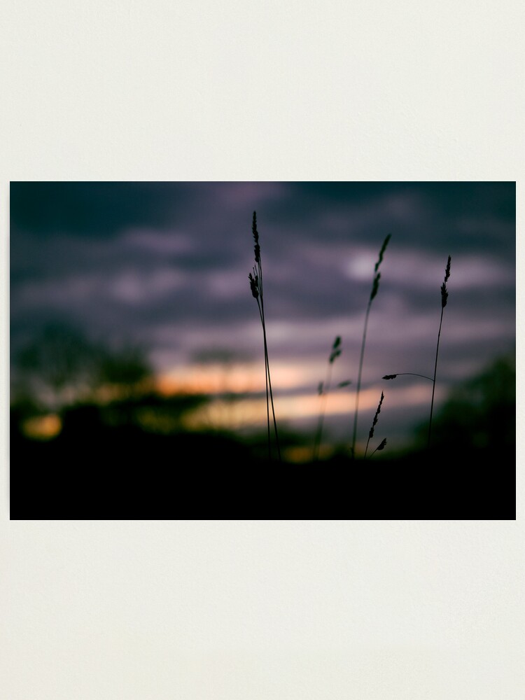 Alternate view of Day 182 - 8th January 2012 Photographic Print
