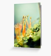 Life in Miniature Greeting Card