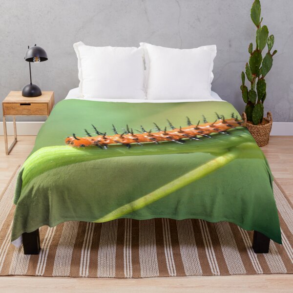 Item preview, Gulf Fritillary Caterpillar On The Move designed and sold by What I See by Dawne.