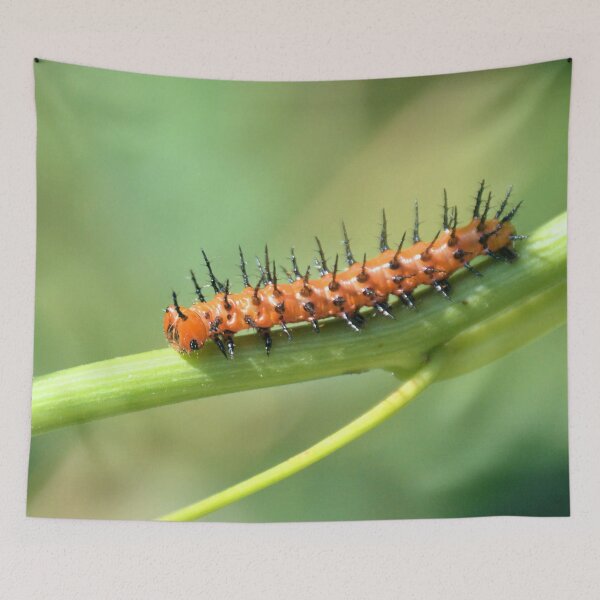 Item preview, Gulf Fritillary Caterpillar On The Move designed and sold by What I See by Dawne.