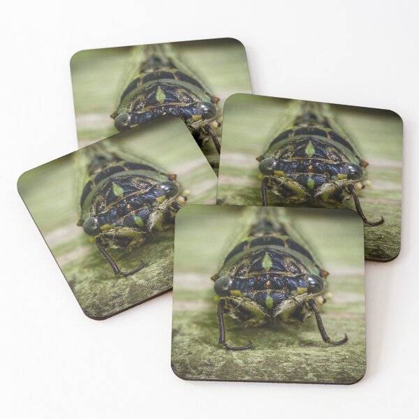 Item preview, Canadian Cicada  designed and sold by Robert Alsop.