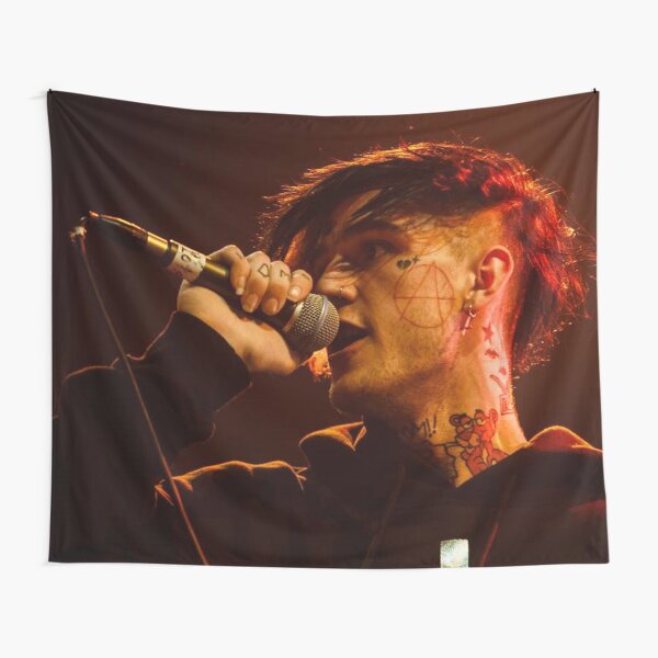 Lil peep's last concert photo Tapestry