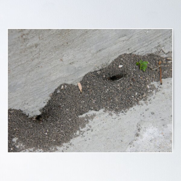 Item preview, Mound Elegance designed and sold by Navigator.
