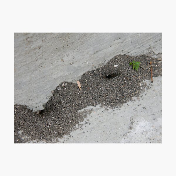 Item preview, Mound Elegance designed and sold by Navigator.