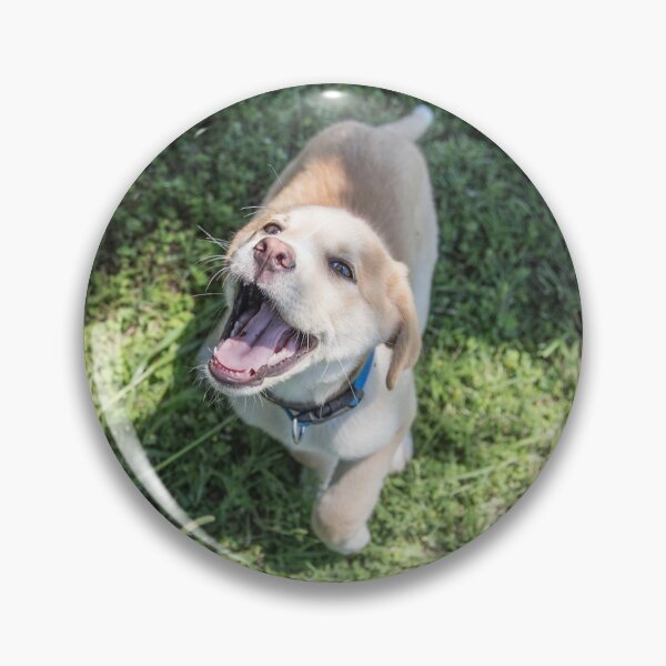 Item preview, Happiest Dog to Ever Dog designed and sold by PrettySickArt.