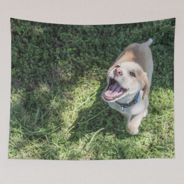 Item preview, Happiest Dog to Ever Dog designed and sold by PrettySickArt.