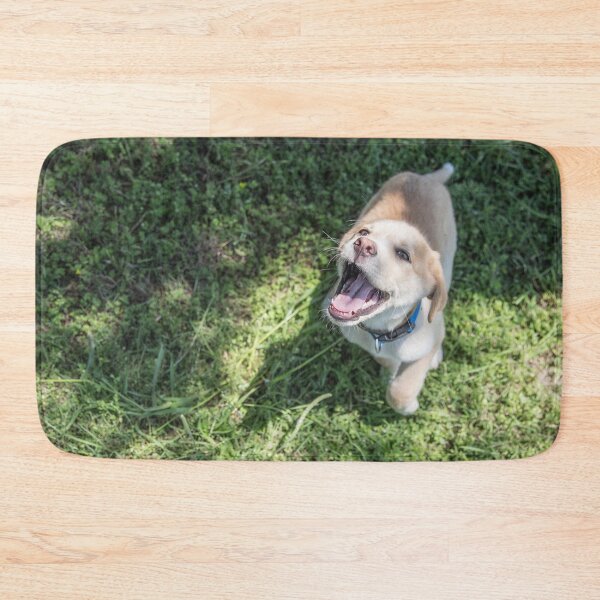 Item preview, Happiest Dog to Ever Dog designed and sold by PrettySickArt.