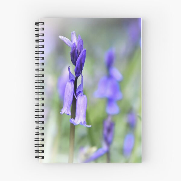Item preview, Bluebell wood designed and sold by JEZ22.