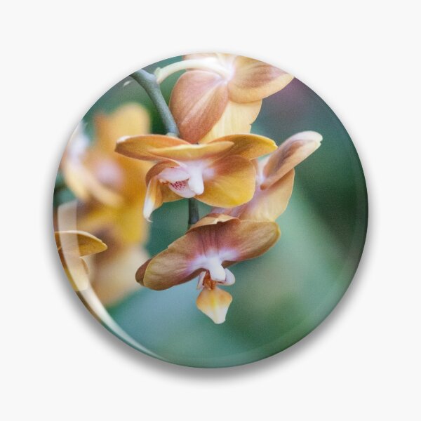 Artikelvorschau, Gelbe Orchideen-Fotografie entworfen und verkauft von NatashaBalletta.