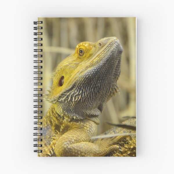 Item preview, Australian Inland Bearded Dragon Reptile designed and sold by HotHibiscus.