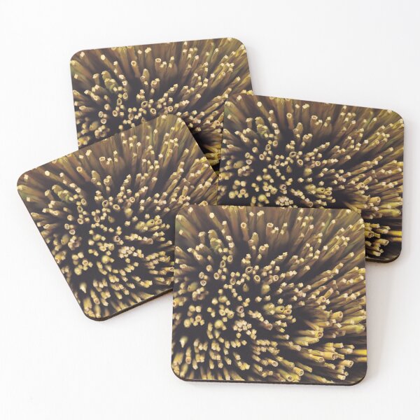 Item preview, Cut straw nature designed and sold by Pacesyte.
