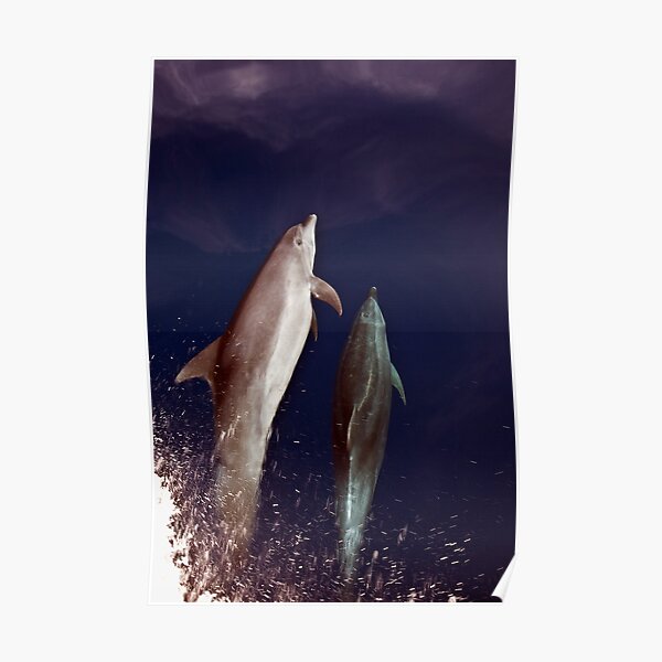 Grace under water Poster