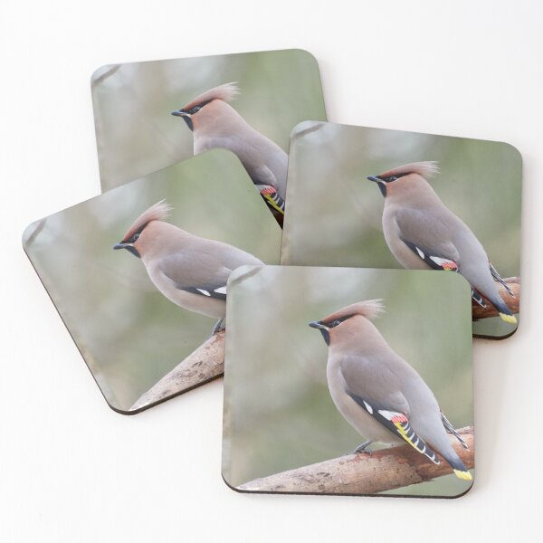 Item preview, Delicate greens. Bohemian waxwing designed and sold by Jouko Lehto Photography.
