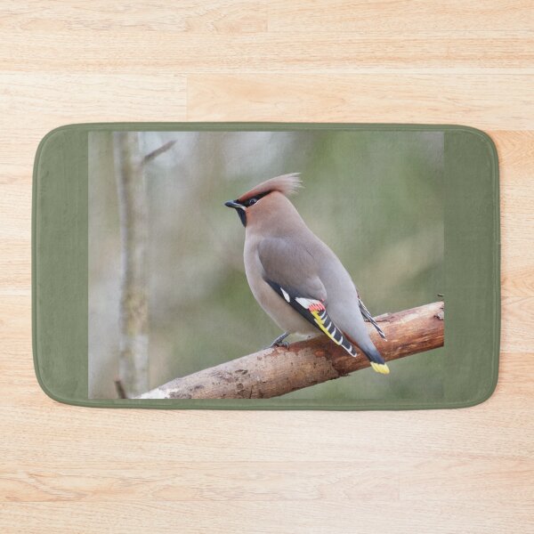 Item preview, Delicate greens. Bohemian waxwing designed and sold by Jouko Lehto Photography.