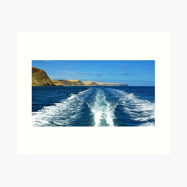 Item preview, Fleurieu Peninsula coast, South Australia designed and sold by Darius4522.