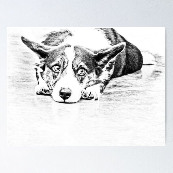 Item preview, Corgi Galés designed and sold by Marcia Rubin.