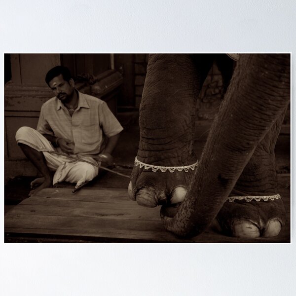 Item preview, Lakshmi and her Mahout designed and sold by Valerie Rosen Photography.