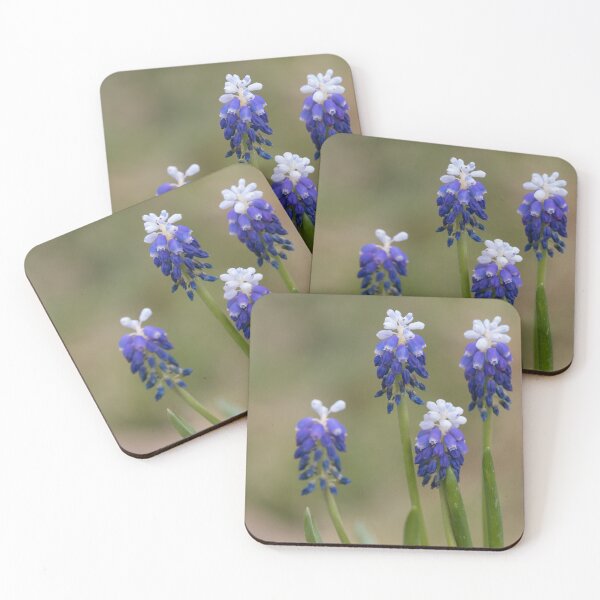 Item preview, Grape Hyacinth designed and sold by LaurenTucker.