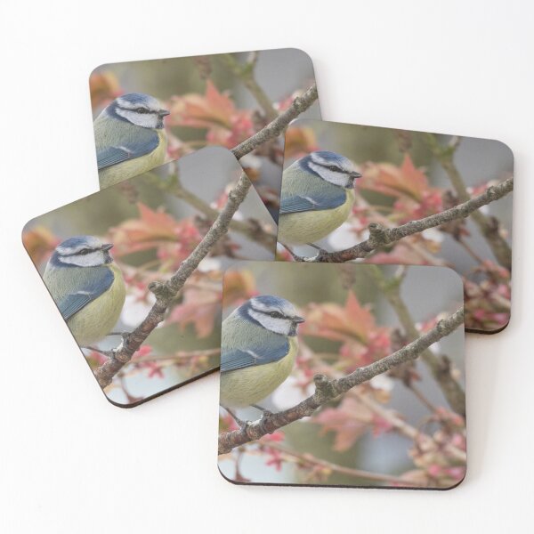 Item preview, Blue Tit designed and sold by LaurenTucker.