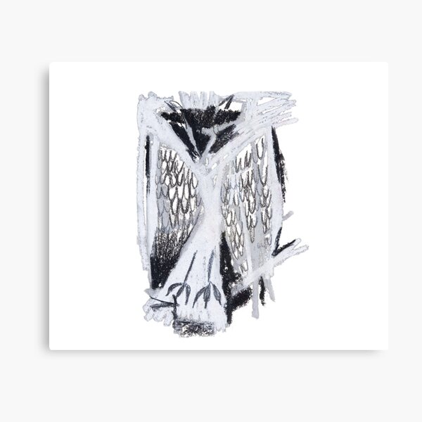 Sleeping owl Canvas Print