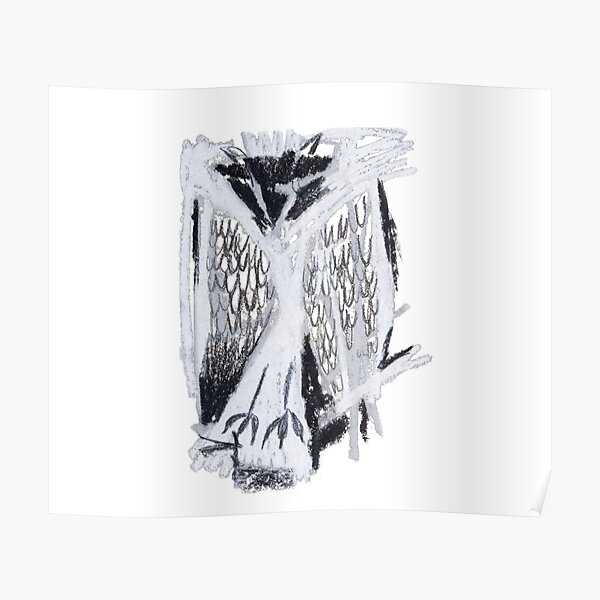 Sleeping owl Poster