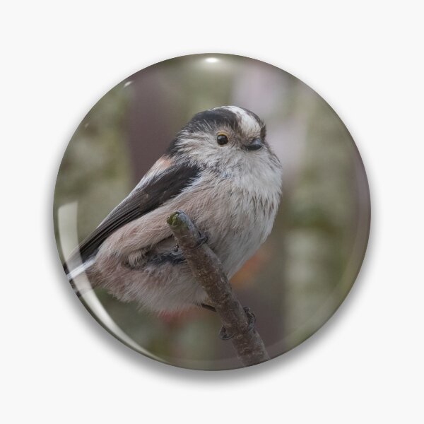 Item preview, Long Tailed Tit designed and sold by LaurenTucker.