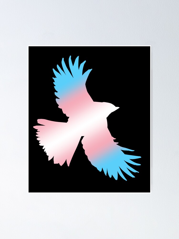 Sparrow Transgender Flag Black Background Poster By Klykoni Redbubble